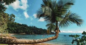 Praias de Ilhabela: Um Roteiro para Férias Perfeitas em São Paulo