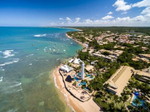 Dicas para Visitar a Praia do Forte, Bahia: O Melhor do Ecoturismo