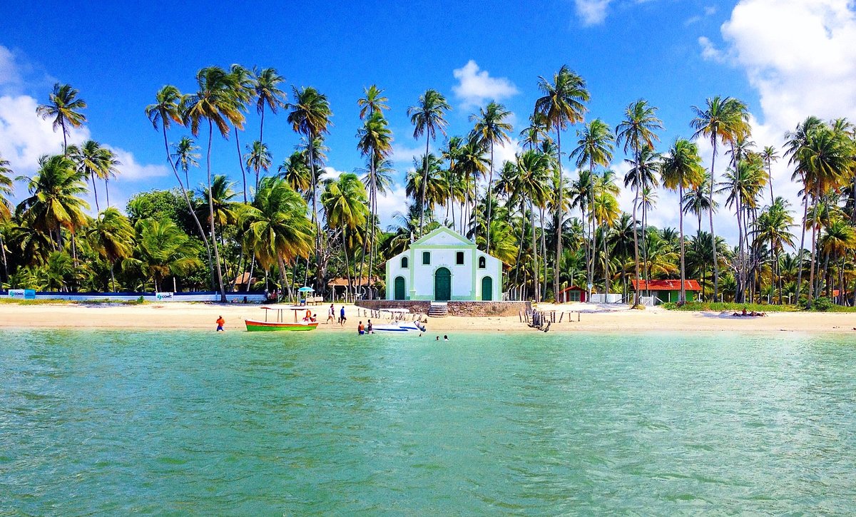 Descubra os Segredos da Praia dos Carneiros, em Pernambuco